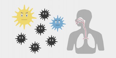 What are the hazards of inhaling too much dust?