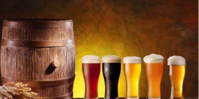 Infrared CO2 Sensors for Monitoring CO2 Leaks in Breweries