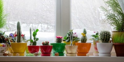 What to Do If the House Is Dusty, Dry, and Stuffy in Winter?
