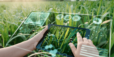 Commonly Used Sensors in Smart Agriculture