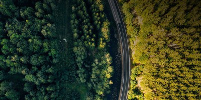 Gas Sensors: Guardians of Environment and Health