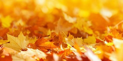 Autumn Indoor Humidity Adjustment and Health