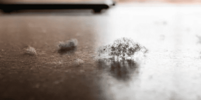 Unveiling Air Quality: The Difference Between Dust and PM2.5