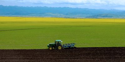 The Role of Temperature and Humidity Sensors in Modern Agriculture