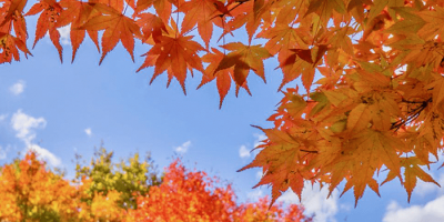 Urban Autumn and Winter: The Necessity of Indoor Fresh Air Systems