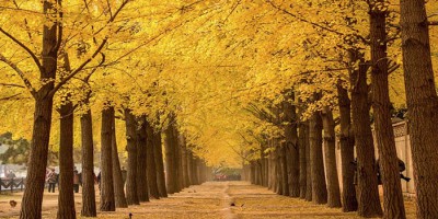 When Autumn Comes and Haze Runs Rampant, How Should You Protect Yourself?