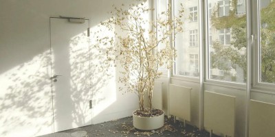 Gas Sensors: Guarding Your Family's Health