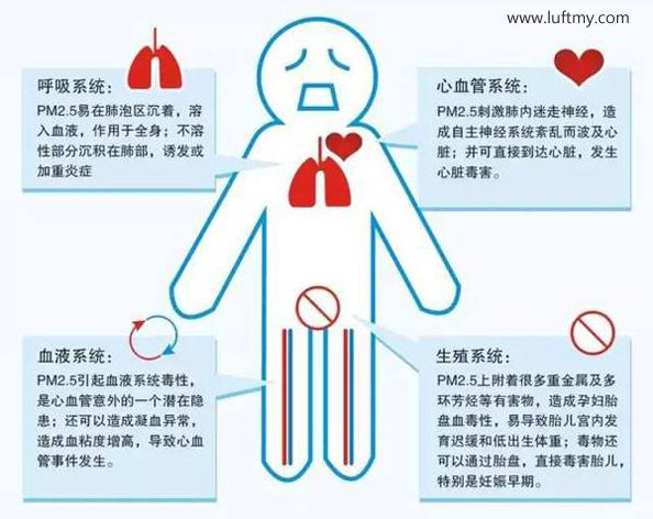 What is the difference between an infrared dust sensor and a laser PM2.5 sensor for air purifiers? Which one is better?