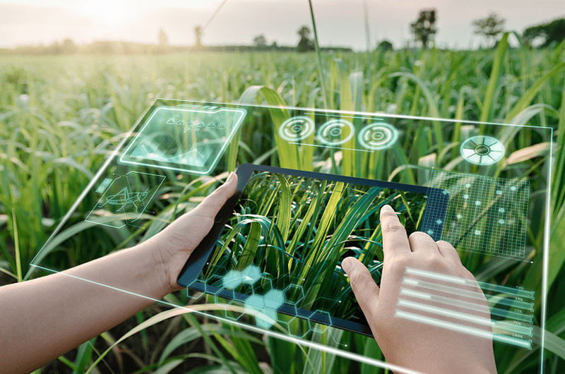 Commonly used sensors in smart agriculture