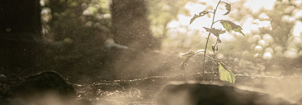 What are the suspended particulate matters in daily life? What role do sensors play?