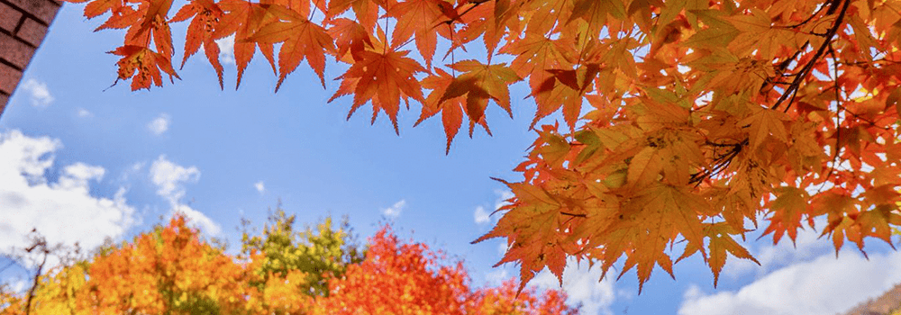 Urban Autumn and Winter: Necessity of Indoor Fresh Air Systems