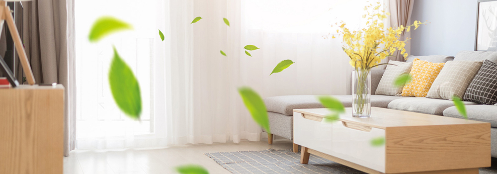 How to improve indoor air quality?
