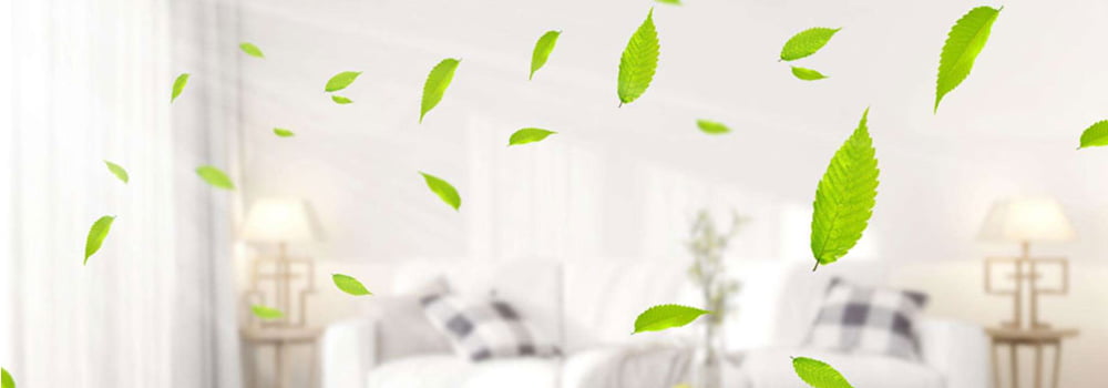 Can installing a fresh air system indoors help protect us from PM2.5 and formaldehyde?