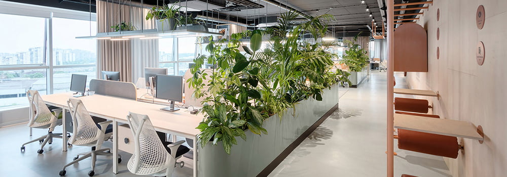 CO2 Sensor: An Office Essential