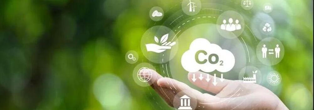 CO2 Sensor: An Office Essential