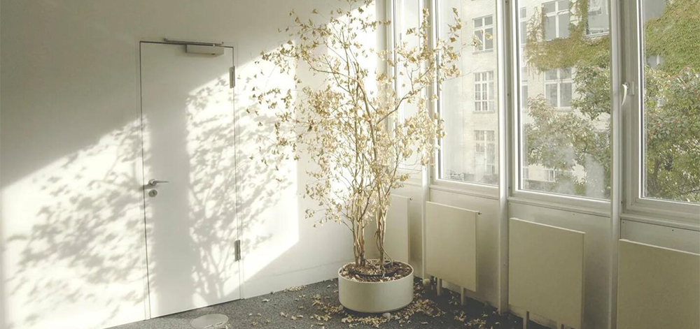 What basic conditions must a gas sensor meet?