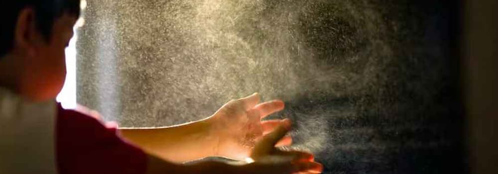 Dust and Lint are Everywhere, How to Clean Effectively?