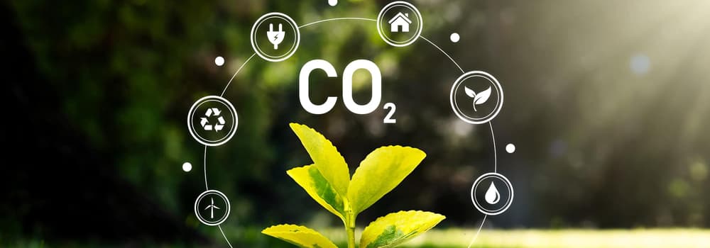 What do we need to know about CO2 sensors?