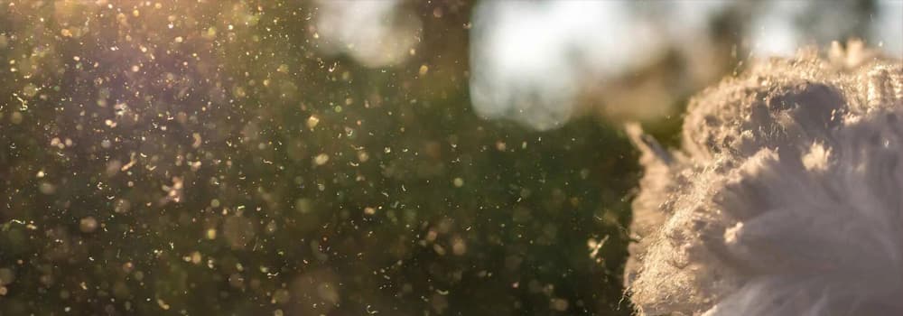 How small are the dust particles that laser dust sensors can detect? How is it done?