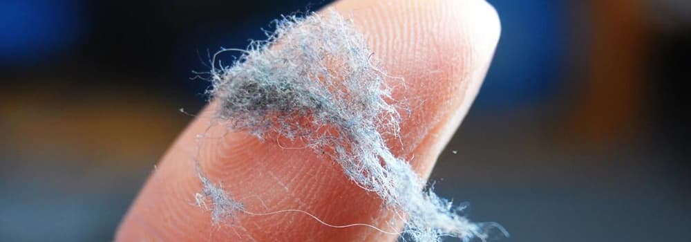 Why is there lint-like dust in the home?