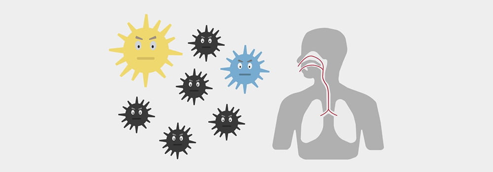 What are the hazards of inhaling too much dust?